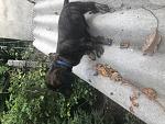     
: IMG_1806.jpg
: 9
:	230.2 
ID:	13610275