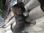     
: IMG_1804.jpg
: 9
:	222.0 
ID:	13610276