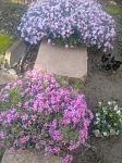     
: IMG_20220510_192241762.jpg
: 32
:	144.9 
ID:	13610430