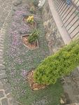     
: IMG_20220627_093852832.jpg
: 9
:	165.5 
ID:	13610434