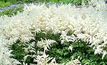    
: unnamed-2-1.jpg
: 14
:	82.8 
ID:	13610437
