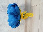     
: 20240908_154100.jpg
: 35
:	123.5 
ID:	13610690