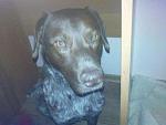     
: DSC01645.JPG
: 31
:	27.6 
ID:	1361116