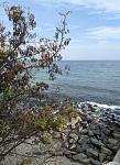     
: IMG_20241012_000808_926.jpg
: 11
:	147.5 
ID:	13611390