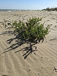     
: IMG_20241017_171302_935.jpg
: 66
:	175.7 
ID:	13611755