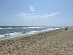     
: IMG_20241017_171317_628.jpg
: 33
:	91.2 
ID:	13611756