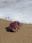     
: IMG_20241017_171324_648.jpg
: 26
:	128.2 
ID:	13611758