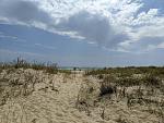     
: IMG_20241017_171330_920.jpg
: 22
:	108.1 
ID:	13611759