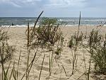     
: IMG_20241017_171335_232.jpg
: 37
:	160.9 
ID:	13611760