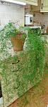     
: IMG_20241022_094603.jpg
: 8
:	115.8 
ID:	13612046