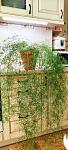     
: IMG_20241022_094552.jpg
: 6
:	146.1 
ID:	13612047