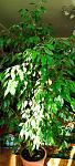     
: IMG_20241022_100640.jpg
: 4
:	109.7 
ID:	13612052