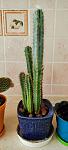     
: IMG_20241022_092749.jpg
: 3
:	61.3 
ID:	13612064