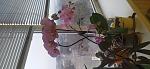     
: IMG_20240203_170038.jpg
: 34
:	93.7 
ID:	13612074