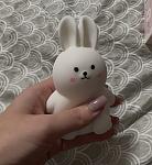     
: IMG_5383.jpg
: 38
:	54.9 
ID:	13612116