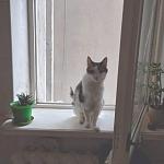     
: FB_IMG_1729857815037.jpg
: 41
:	54.1 
ID:	13612305