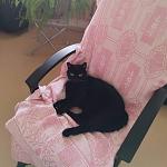     
: FB_IMG_1729857821685.jpg
: 36
:	106.5 
ID:	13612306