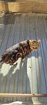     
: IMG_20241105_091647.jpg
: 14
:	77.8 
ID:	13612557