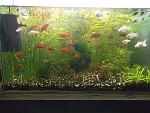     
: olx_image_2024-11-10_18-26-12.JPG
: 6
:	188.4 
ID:	13612873