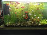     
: olx_image_2024-11-10_18-33-52.JPG
: 14
:	211.3 
ID:	13612874