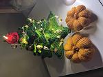     
: IMG_1031.jpg
: 8
:	105.5 
ID:	13613251