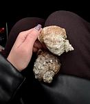     
: IMG_5703.jpg
: 9
:	48.9 
ID:	13613502