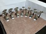     
: IMG_20241109_140743.jpg
: 21
:	115.5 
ID:	13613577