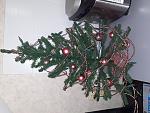     
: 20241208_220046.jpg
: 25
:	168.9 
ID:	13614134