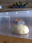     
: Nata_Pandoro_01.jpg
: 10
:	86.4 
ID:	13614245
