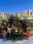     
: IMG_5782.jpg
: 17
:	92.7 
ID:	13614667