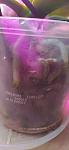     
: photo_2024-12-27_12-45-05.jpg
: 21
:	33.3 
ID:	13614752