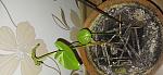     
: 20250102_231500.jpg
: 13
:	145.2 
ID:	13614876