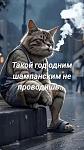     
: IMG_1586.jpg
: 16
:	41.7 
ID:	13615399