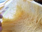     
: 20250112_113056.jpg
: 9
:	248.4 
ID:	13615644