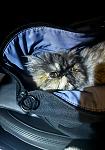     
: IMG_5326.jpg
: 3
:	61.2 
ID:	13616053