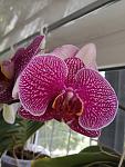     
: IMG_20210505_104704.jpg
: 14
:	86.3 
ID:	13616801