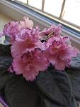     
: IMG_20250320_110757.jpg
: 8
:	77.6 
ID:	13617459