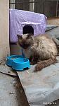     
: IMG_20250409_184650.jpg
: 3
:	81.9 
ID:	13618134