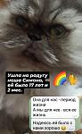     
: IMG_20250410_140524.jpg
: 38
:	68.8 
ID:	13618140