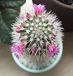     
: IMG_20250411_113411~2.jpg
: 3
:	131.3 
ID:	13618171