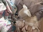     
: IMG_1083.jpg
: 6
:	107.4 
ID:	13618841