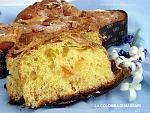     
: Colomba-04.jpg
: 3
:	279.1 
ID:	13619003