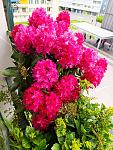     
: IMG-b030815a440d65ef68bc3a45aca03220-V.jpg
: 3
:	167.8 
ID:	13619225