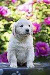    
: _MG_8425.jpg
: 9
:	68.2 
ID:	13619313