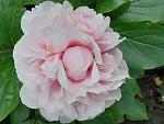     
: 20220521_182638.jpg
: 8
:	96.2 
ID:	13619502
