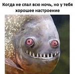     
: IMG_8259.jpg
: 19
:	52.6 
ID:	13619655