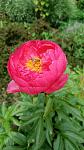     
: IMG20250523115747.jpg
: 1
:	88.9 
ID:	13619766