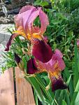    
: IMG_20250525_162557.jpg
: 3
:	111.0 
ID:	13619796