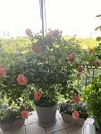     
: _viber_2025-06-08_19-46-13-956.jpg
: 1
:	130.3 
ID:	13620284