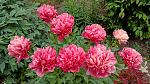     
: IMG20250601183100.jpg
: 5
:	180.1 
ID:	13620486